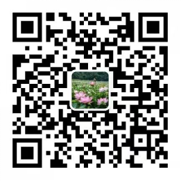 拱橋鎮(zhèn)人民政府1.jpg